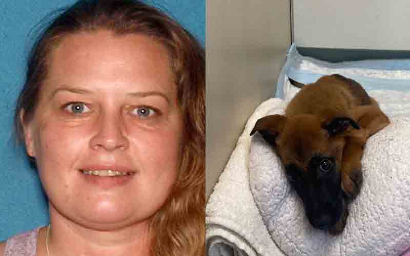 Woman charged after abandoning 5 sick puppies to tree, trespassing after being evicted