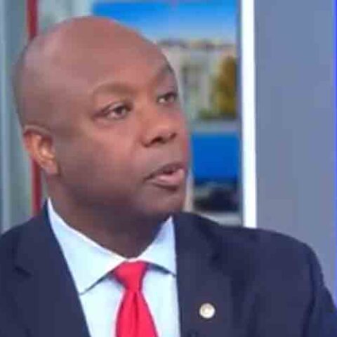 Tim scott raises massive $8 million ahead of reelection - photo licensed by shore news network.