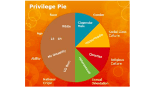 School district reportedly hired a consultant to teach the ‘privilege pie’ chart and a ‘pyramid of white supremacy’