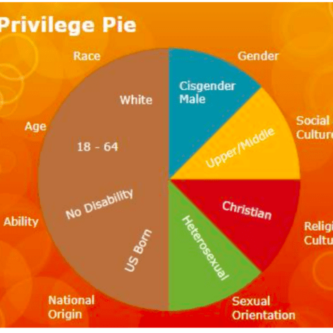 School district reportedly hired a consultant to teach the ‘privilege pie’ chart and a ‘pyramid of white supremacy’ - photo licensed by shore news network.