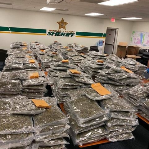 Sheriff's looking for the owner of 770 pounds of marijuana left in a storage unit - photo licensed by shore news network.