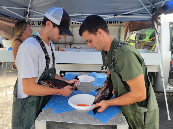 New Jersey Trout Hatchery Nets 2 Million Eggs for 2023 Stocking Season