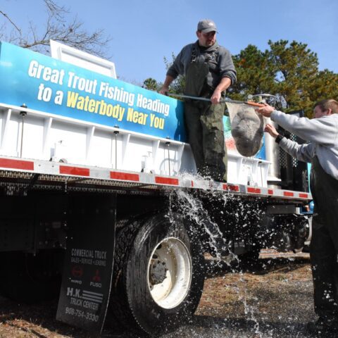 Fall trout stocking has begun in new jersey, here's where - photo licensed by shore news network.