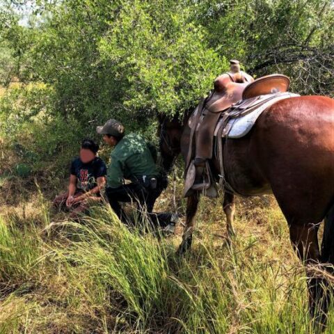 On horses u. S. Border patrol agents rescue migrant lost in rough desert terrain - photo licensed by shore news network.