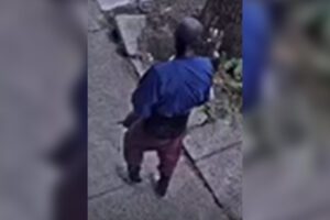 Wanted: suspect for attempted abduction in the 22nd district [video]