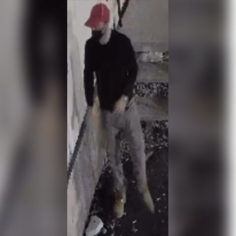 Suspect wanted for trailer burglary on christopher columbus boulevard - photo licensed by shore news network.
