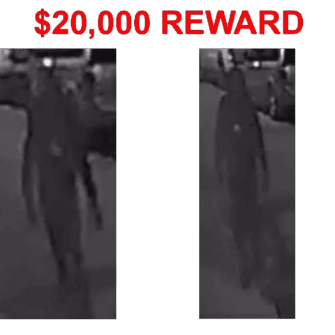 Watch: philadelphia police identify suspect in march shooting murder - photo licensed by shore news network.