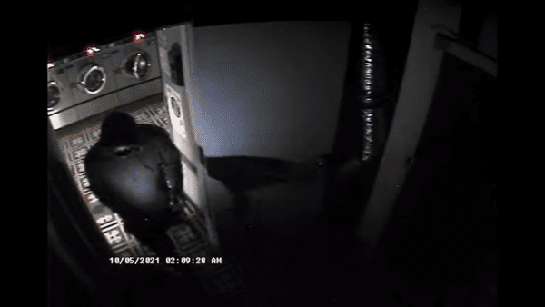 Northwest D.C. Suspects Forcibly gain Entry into Laundromat