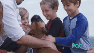 Abandoned boxer is so excited to meet her new family