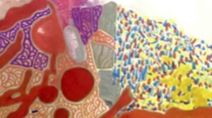 Hunter Biden’s first commercial artwork nets ,000 each Hunter Bidens first commercial artwork nets 000 each