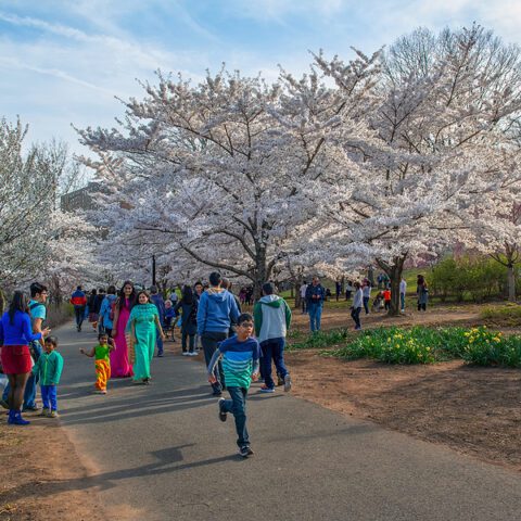 Finally! New jersey is not last in something as the state is ranked safest in america - photo licensed by shore news network.