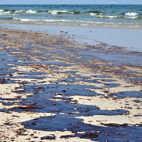 Pipeline spills 300,000 gallons of fuel, killing thousands of animals - photo licensed by shore news network.