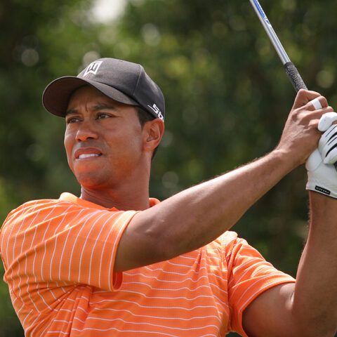 Two charged for scamming sports tourists out of $126,000 trip to see tiger woods - photo licensed by shore news network.
