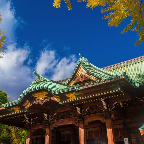 Japan’s princess mako to finally give up royal status to marry commoner - photo licensed by shore news network.