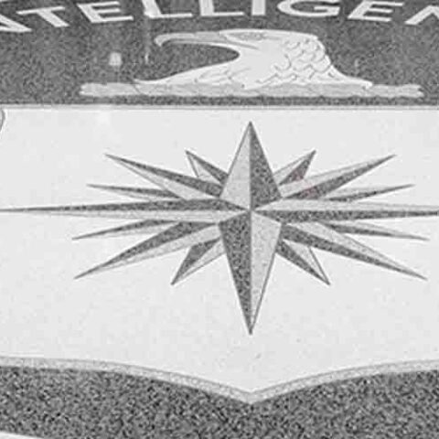 Congress wants to know what the intel community is doing to make spying more ‘inclusive’ and ‘diverse’ - photo licensed by shore news network.