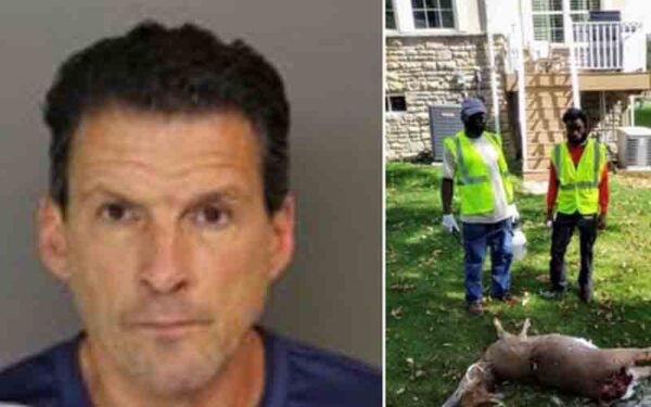 Oh deer, man charged for illegally dumping deer carcass