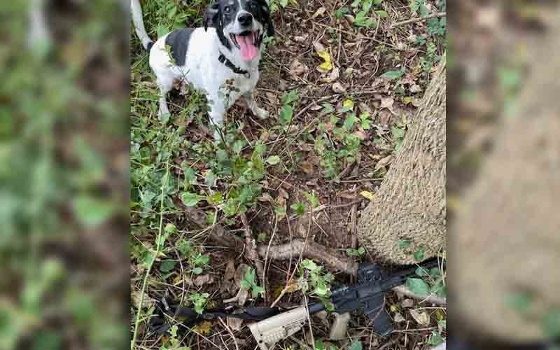 This dog helped police nab poachers 'hunting' with AR-style rifle