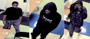 Suspects sought in d. C. Burglary