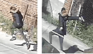D. C. Detectives search for suspect after firearm discharged
