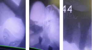 Suspect sought d. C. Burglary