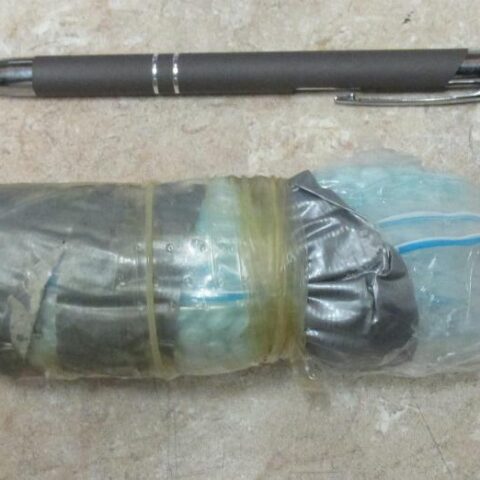 ‘tragic’: border officers catch several female american citizens storing nearly a pound of fentanyl in their bodies - photo licensed by shore news network.