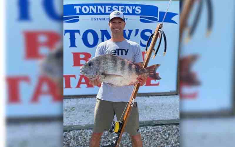 Manahawkin spearfisherman lands record breaking sheepshead