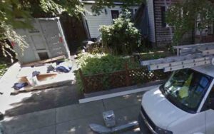 Man shot dead in boston's hyde park
