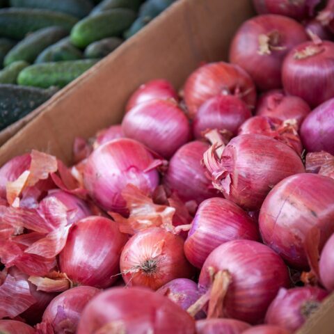 Salmonella outbreak that sickened people in new jersey linked to onions imported from mexico - photo licensed by shore news network.