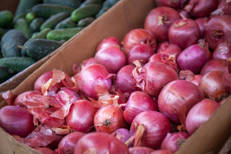 Salmonella outbreak that sickened people in new jersey linked to onions imported from mexico - photo licensed by shore news network.