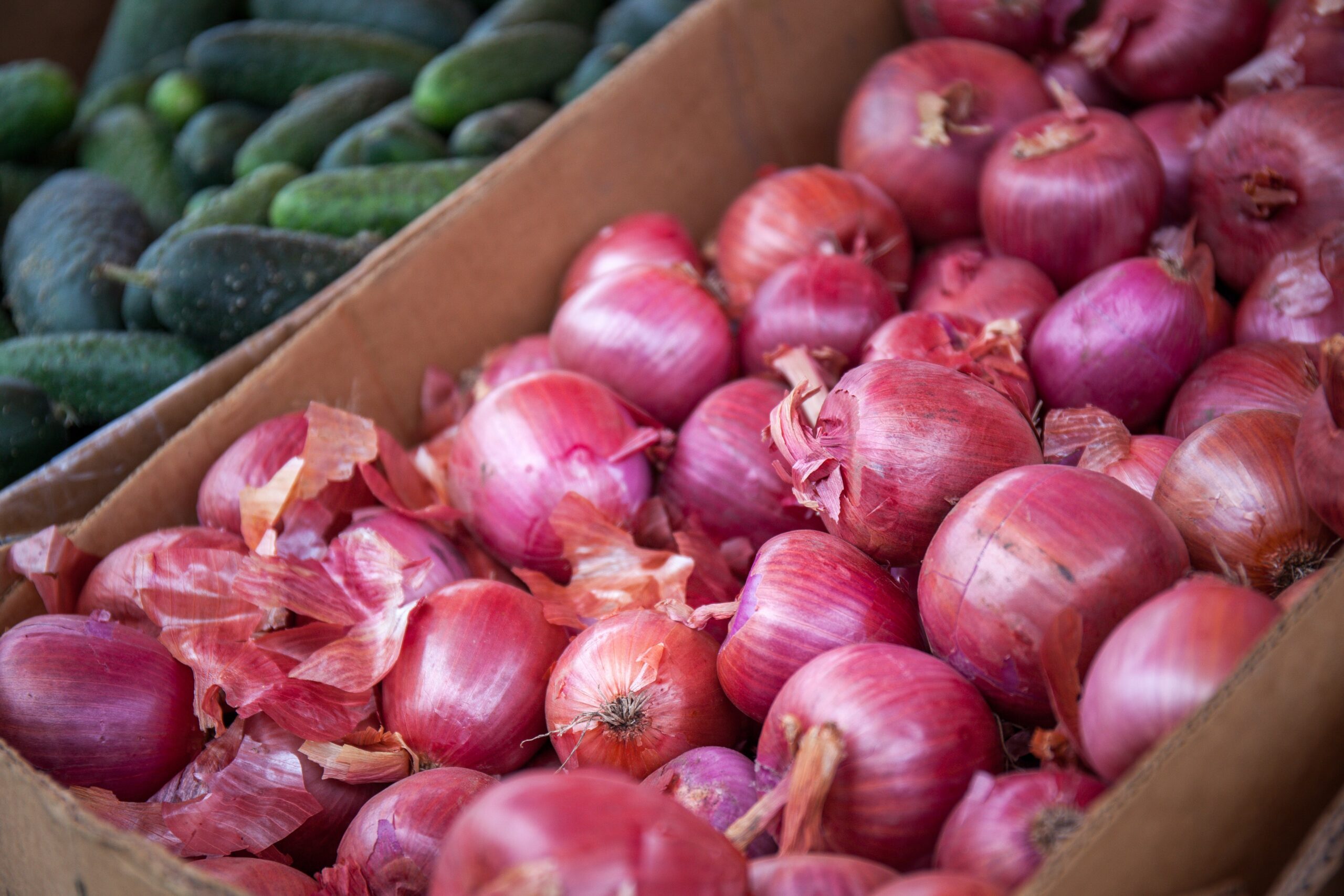 Salmonella outbreak that sickened people in New Jersey linked to onions imported from Mexico