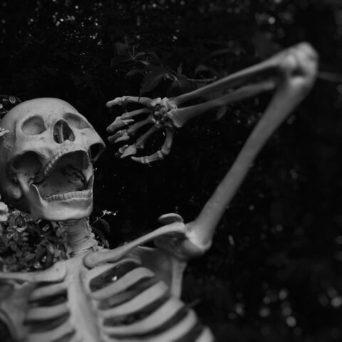 Five tips for a fun family halloween - photo licensed by shore news network.