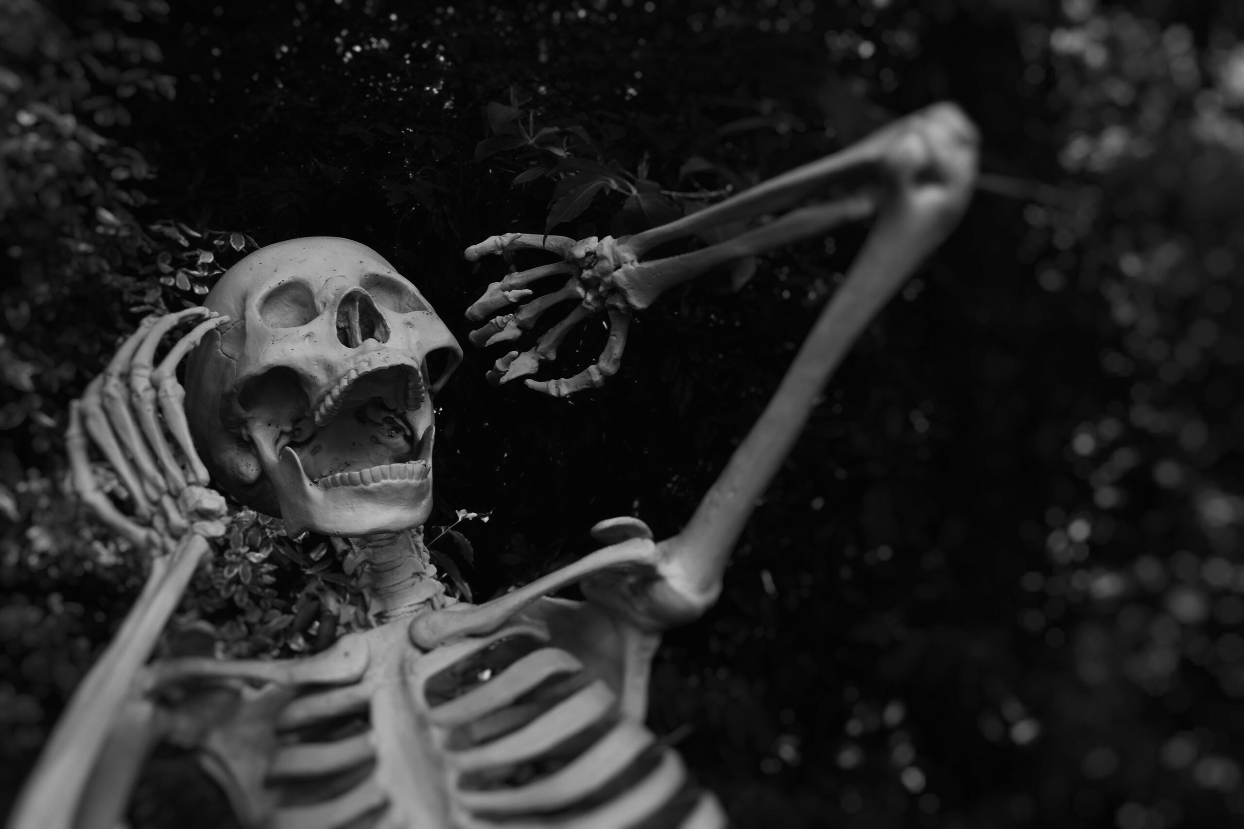 Five tips for a fun family Halloween