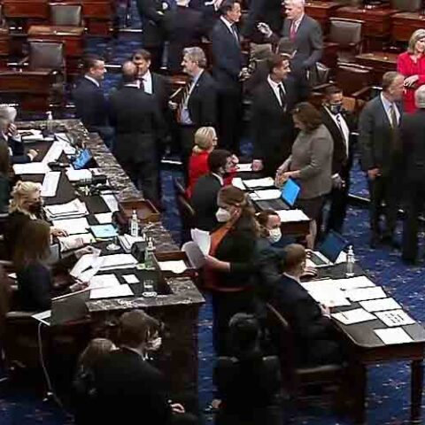 Senate confirms alleged eco-terrorist collaborator to lead bureau of land management - photo licensed by shore news network.