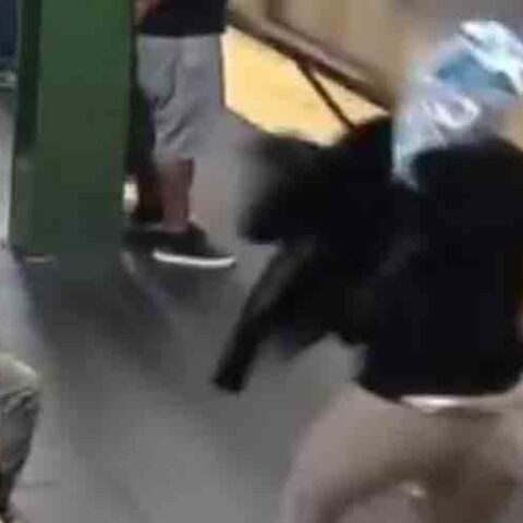 Woman captured on video shoving another woman into moving subway train arrested - photo licensed by shore news network.