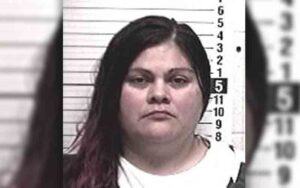 Intoxicated woman charged with stabbing man in his driveway