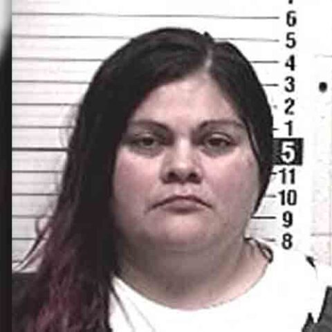 Intoxicated woman charged with stabbing man in his driveway - photo licensed by shore news network.