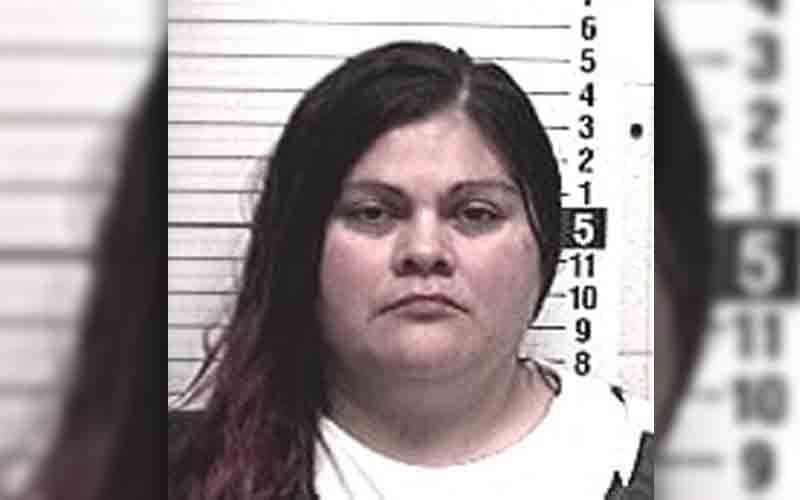 Intoxicated woman charged with stabbing man in his driveway