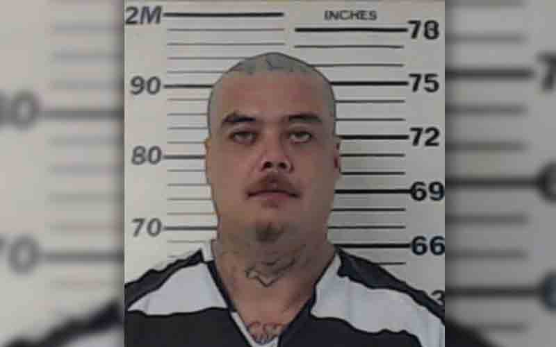 Prior felon sentenced to 10 years for brutal attack of woman