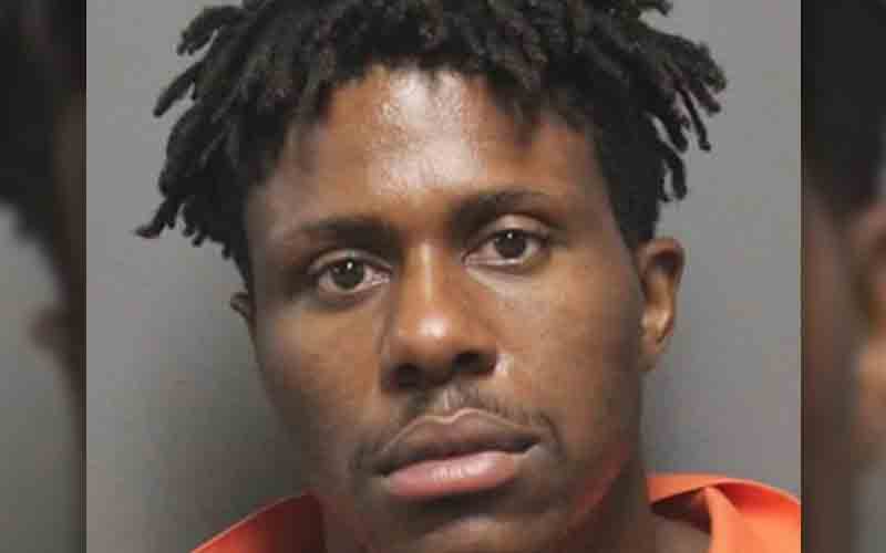 Babysitter stabbed mom to death, blamed marijuana cookie