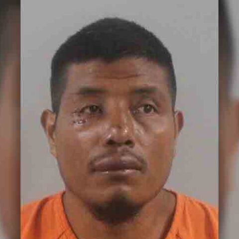 Dui 'undocumented immigrant' killed a 5-year-old girl in hit and run in florida - photo licensed by shore news network.