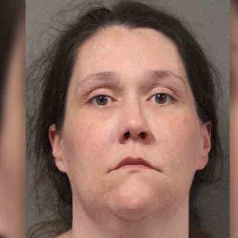 Woman, dui, arrested fleeing police after striking officers, tree - photo licensed by shore news network.