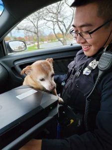 Baltimore patrol officer returns pup with his owners