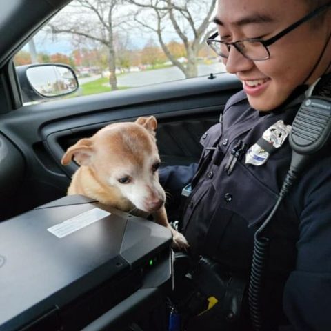 Baltimore patrol officer returns pup with his owners - photo licensed by shore news network.