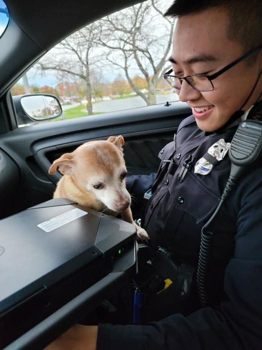 Baltimore Patrol Officer Returns Pup with His Owners