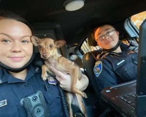 Scared chihuahua thrown out in dumpster until baltimore police save the day