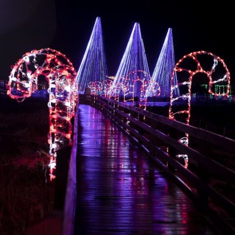 Magic of lights to light up the park at six flags darien lake - photo licensed by shore news network.
