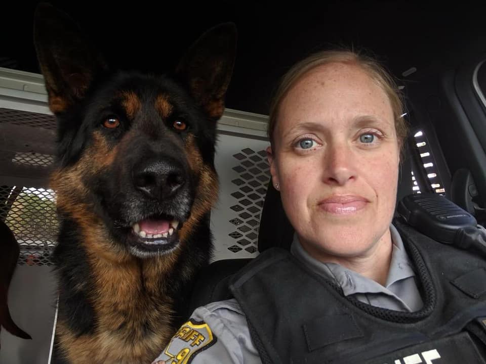 Ocean County Sheriff's Department says goodbye to K-9 Bear, dead at 7