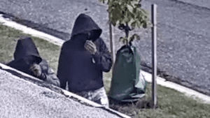 Suspects sought in d. C. Armed robbery and police need your help