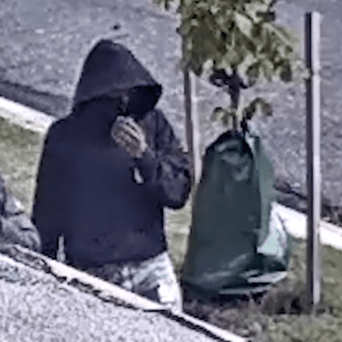 Suspects sought in d. C. Armed robbery and police need your help - photo licensed by shore news network.