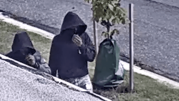 Suspects Sought in D.C. Armed Robbery and Police need your help